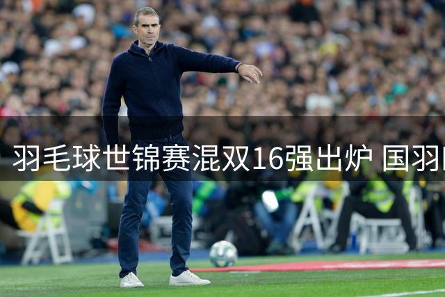 羽毛球世锦赛混双16强出炉 国羽四组合强势晋级